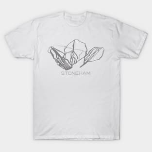 Stoneham Resort 3D T-Shirt